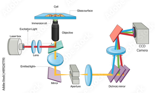 Detailed Vector of Total Internal Reflection Fluorescence Principles and Instrumentation in White Background, TIRF Spectroscopy, Optical Methods.
