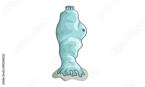 Detailed Vector Illustration of Ascidia (Sea Squirt) Anatomy: Scientific Diagram for Marine Biology and Tunicate Research on White Background