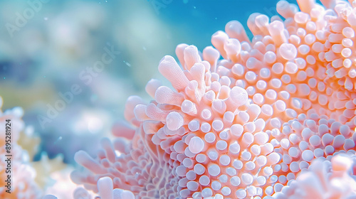 Coral Reef Underwater Scene Featuring Vibrant Coral and Marine Life. Close-Up of Colorful Coral in Clear Ocean Water Showcasing Underwater Ecosystem and Biodiversity