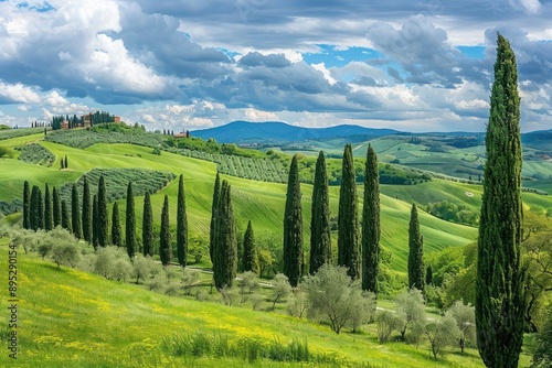 Green landscape with cypress trees and rolling hills, Tuscany, Italy, Europe - generative ai