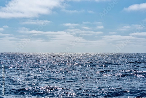 Obraz na płótnie The Top and Dorsal Fin of a Fin Whale Swimming in the Pacific Ocean w salonie