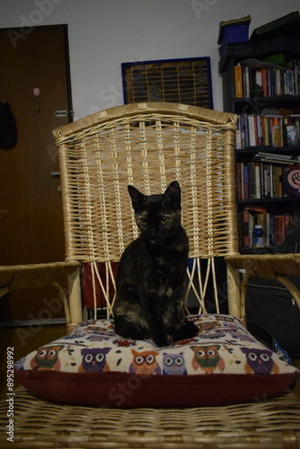 gata