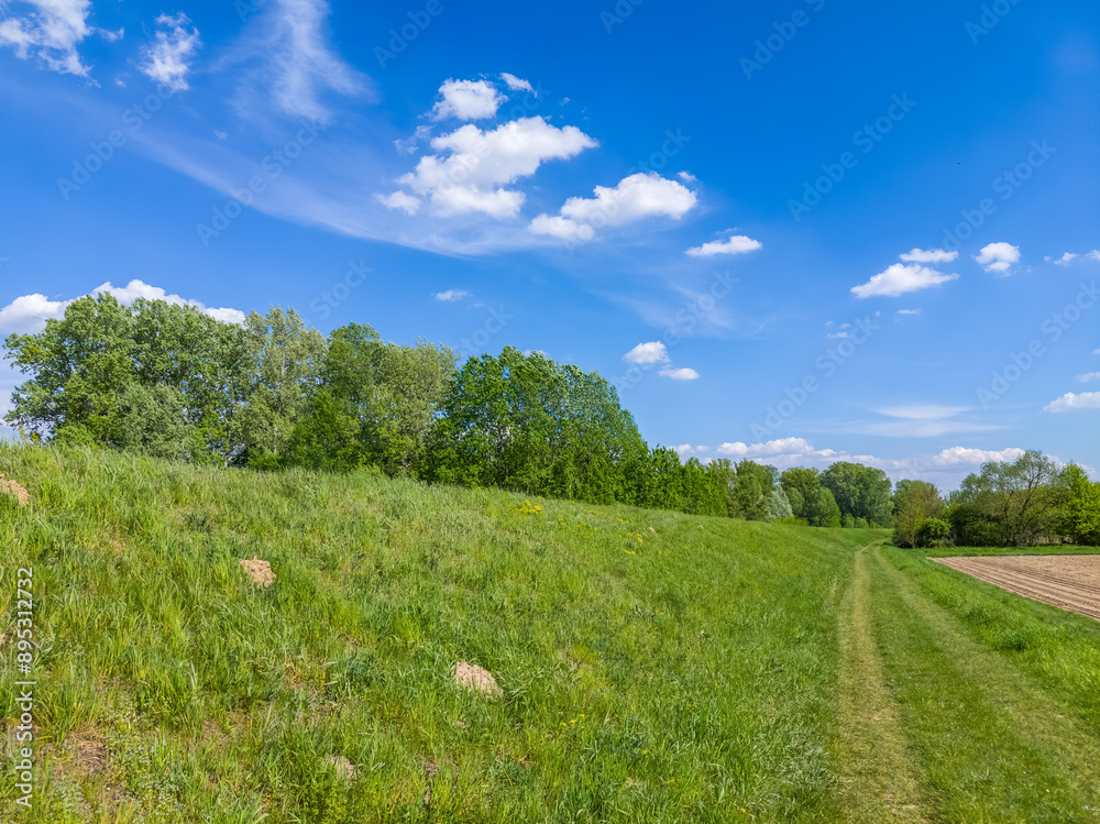 Footpath along the flood embankment in springtime. Footpath along the flood embankment in springtime.