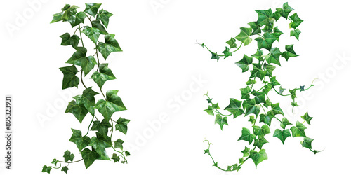 Wallpaper Mural A pair of lush green ivy vines cascading elegantly, perfect for adding a touch of nature to any design or project. Torontodigital.ca