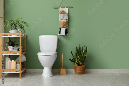 Toilet bowl, shelving unit, organizer and houseplant near green wall in restroom