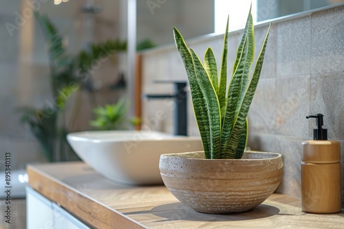 Sansevieria in a Contemporary Bathroom Adding a Green Touch

