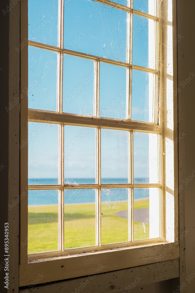 Window with a view Window with a view