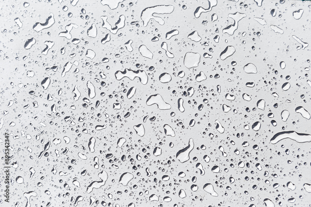Water drops on white background, water drops pattern background Water drops on white background, water drops pattern background