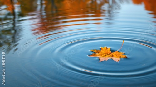 Autumn Leaf Floating in Water with Ripples.