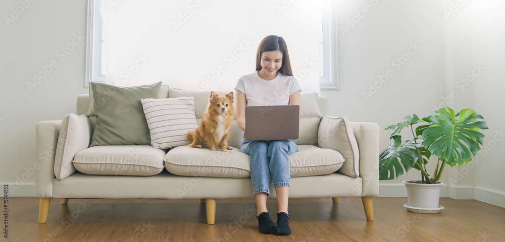 Asian beautiful lady with bwork at the notebook sit down on the sofa at home, technology woman concept for alternative office freelance, happy Asian woman using laptop on her lap with pet dog banner Asian beautiful lady with bwork at the notebook sit down on the sofa at home, technology woman concept for alternative office freelance, happy Asian woman using laptop on her lap with pet dog banner