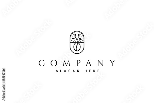 coffee beans growing in sunlight in oval design frame with line art design logo concept