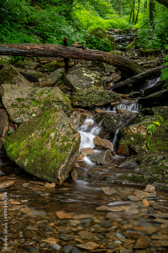 mountain stream