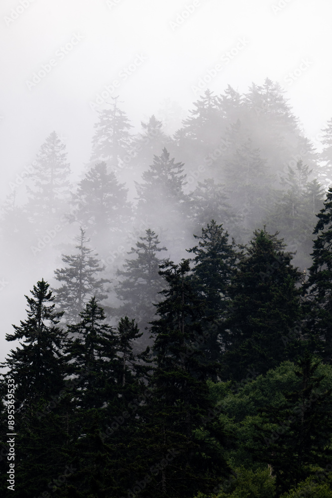 smoky mountains