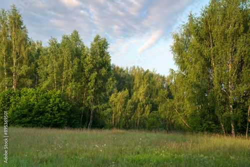 View of the Izborsko-Malskaya valley on a sunny summer morning, Izborsk, Pechersk district, Pskov region, Russia