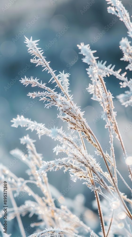 A close-up shot of blades of grass covered in frost, with a blurred background, taken in the early morning light. The frost crystals sparkle and gleam in the sunlight. A close-up shot of blades of grass covered in frost, with a blurred background, taken in the early morning light. The frost crystals sparkle and gleam in the sunlight.