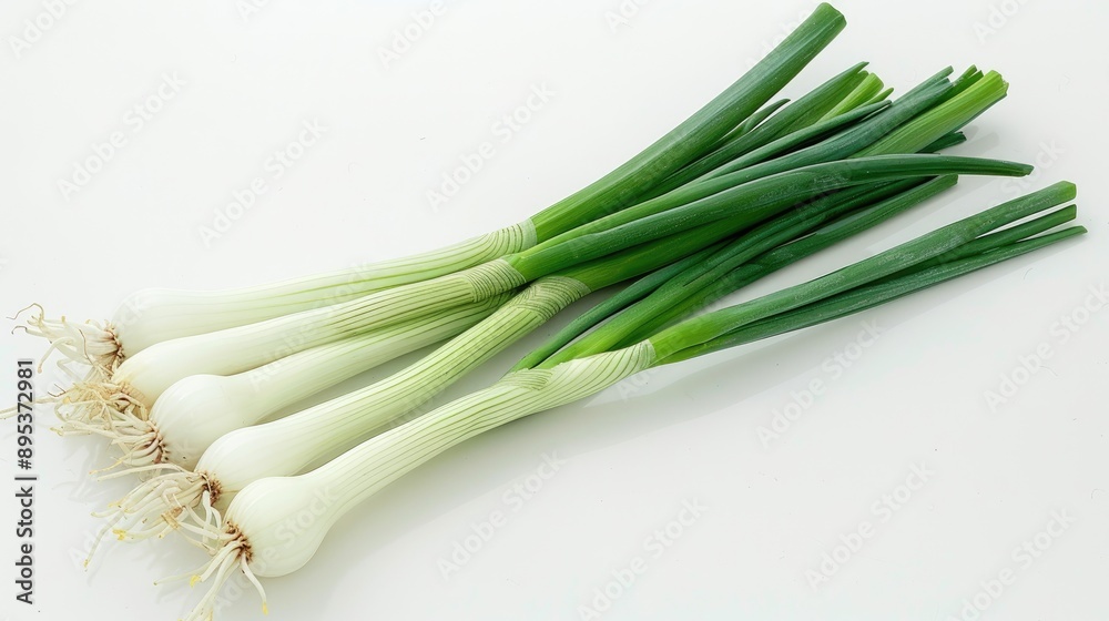 Fototapeta premium Spring onion separated