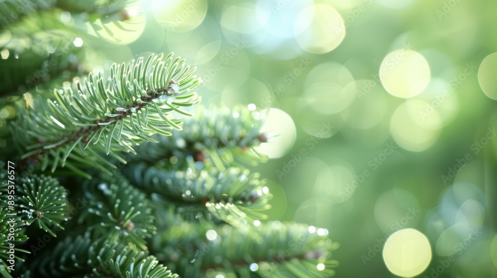A tree with green leaves and a few droplets of water on it
