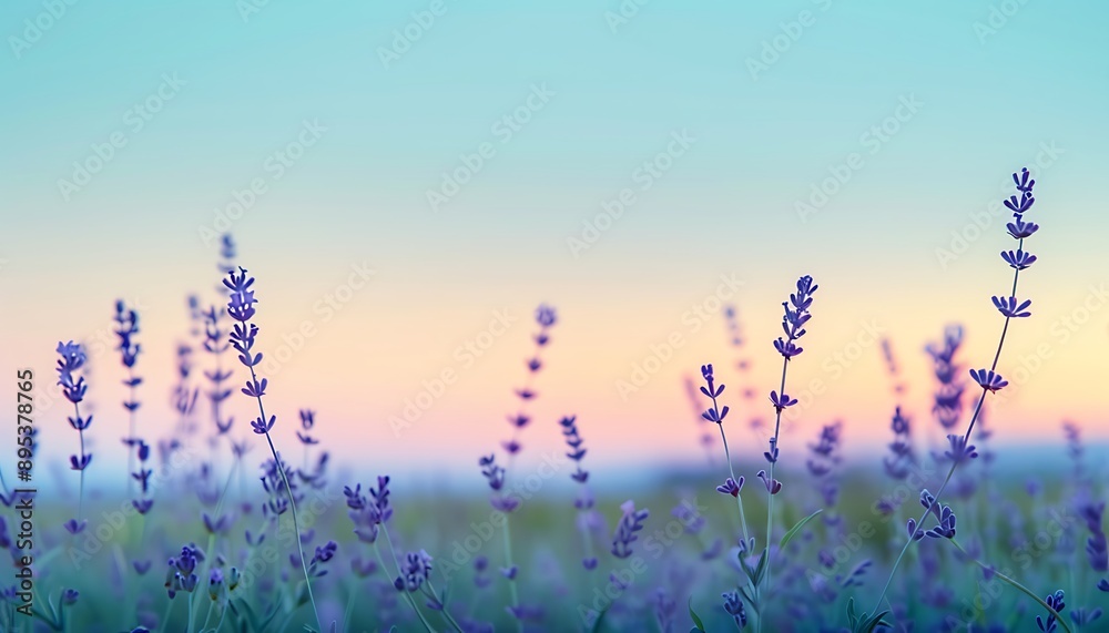 Gradient of sky blue fading into lavender, ideal for digital wellness app displays. Gradient of sky blue fading into lavender, ideal for digital wellness app displays.