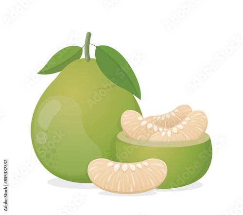 Wallpaper Mural Vector illustration icon or logo or close-up of pomelo with leaves and pulp, fruit for Chinese Mid-Autumn Festival Torontodigital.ca