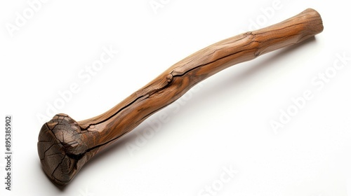 A long, thin, woody object with a rough texture