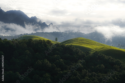 Mountain Phou Hua Lon, Xaisomboun Province, LAOS  photo