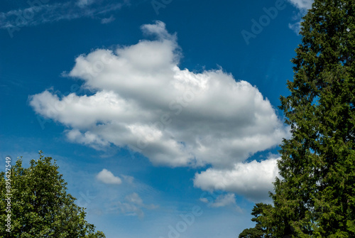 Fluffy clouds in a blue sky framed by trees on an early summer day_06302010_679.