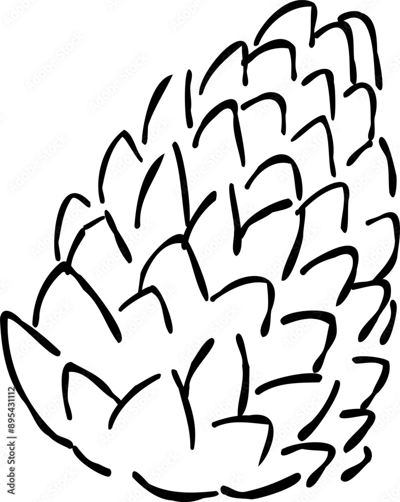 Stylish hand drawn illustration of a Pine Cone, coloring autumn. Stylish hand drawn illustration of a Pine Cone, coloring autumn.
