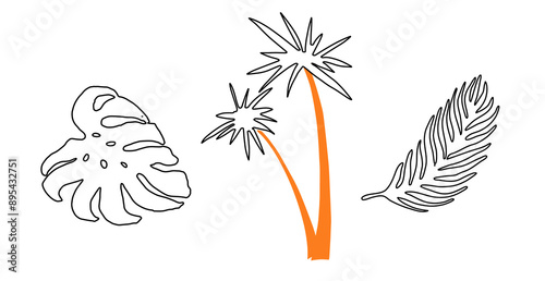 palm tree, palm and monstera leaves in outline style. Tropical leaves, symbol of summer, southern country, beach, vacation. Vector illustration for poster, card, banner