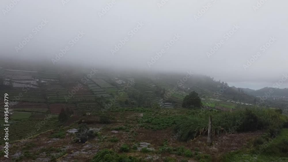 Misty Terraced Fields on a Hillside