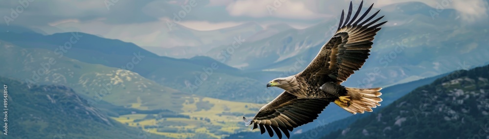 Majestic eagle soaring over a mountainous landscape, panoramic view, Fauna, Aerial Majestycopy space for text, focus cover all object, deep dept of filed Majestic eagle soaring over a mountainous landscape, panoramic view, Fauna, Aerial Majestycopy space for text, focus cover all object, deep dept of filed