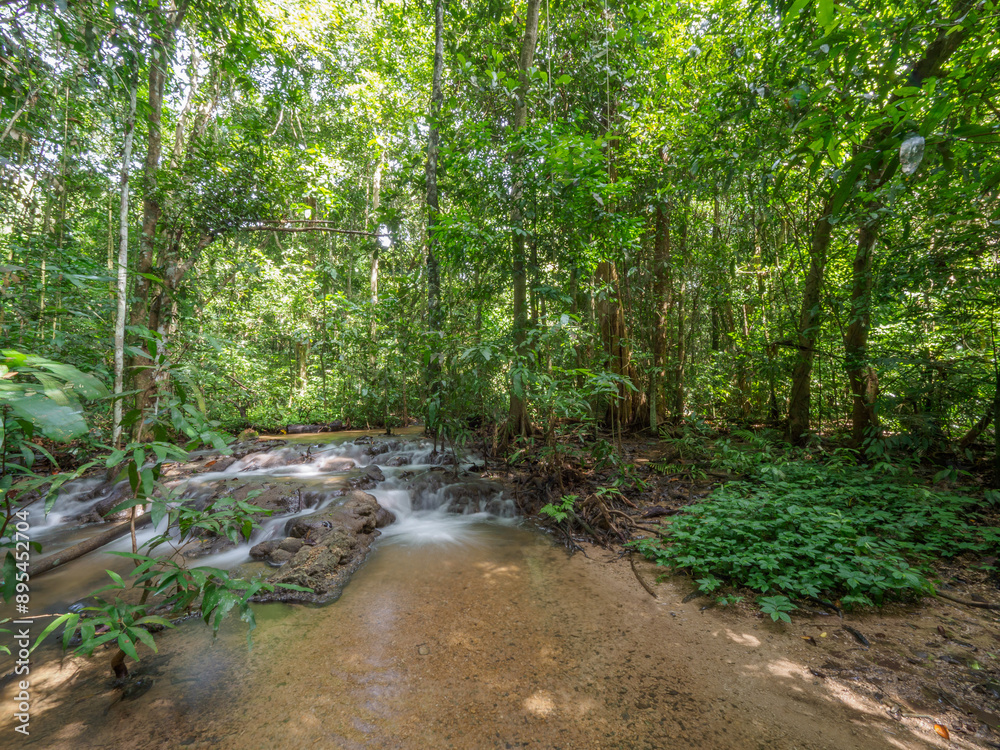 Waterfalls in the rainforest are plentiful. Waterfalls in the rainforest are plentiful.