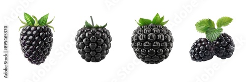 Collection of blackberry isolated on transparent background. Generated Ai photo