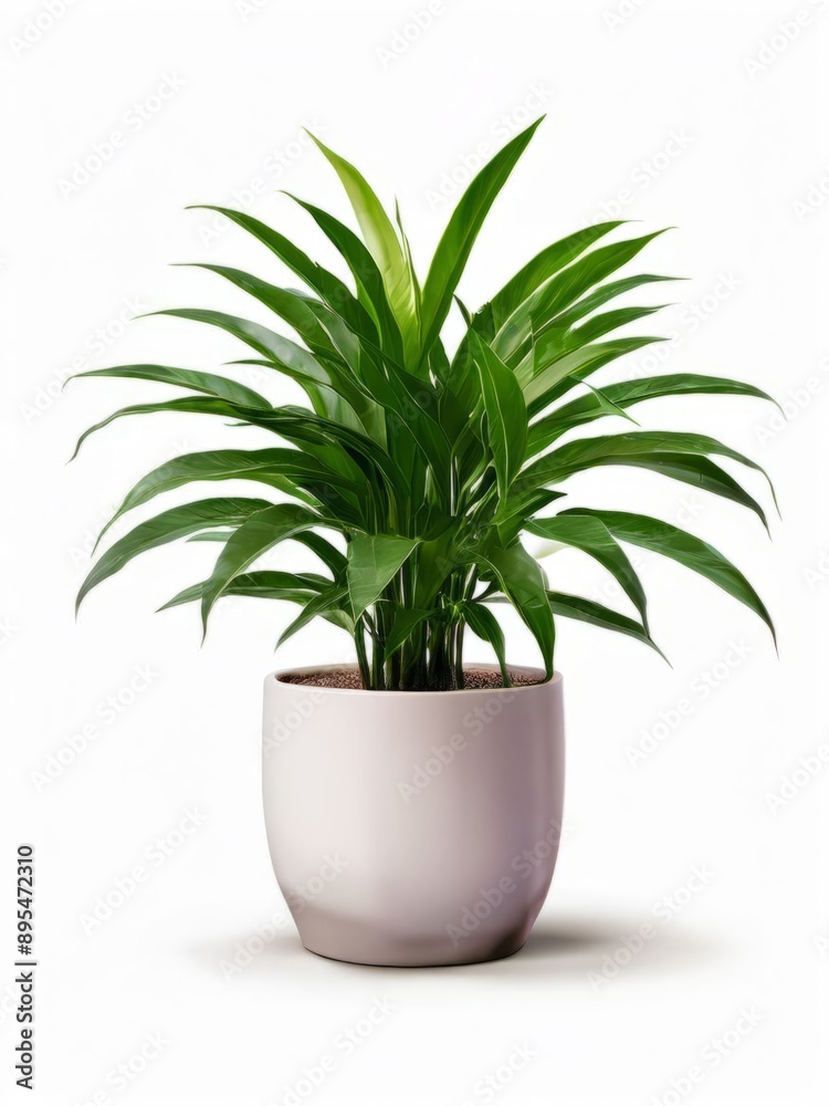 Green indoor plant in a pot, ideal for interior on white background, fits perfectly into bedroom or living room design, reflecting minimalism concept. AI generated. Green indoor plant in a pot, ideal for interior on white background, fits perfectly into bedroom or living room design, reflecting minimalism concept. AI generated.