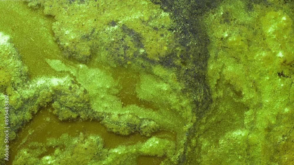 Green toxic waste. Chemical pollution flowing slowly. Contaminated water. Green toxic waste. Chemical pollution flowing slowly. Contaminated water.
