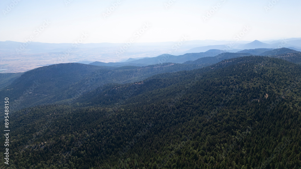 Obraz premium forests in the mountain range area and misty weather in the magnificent landscape