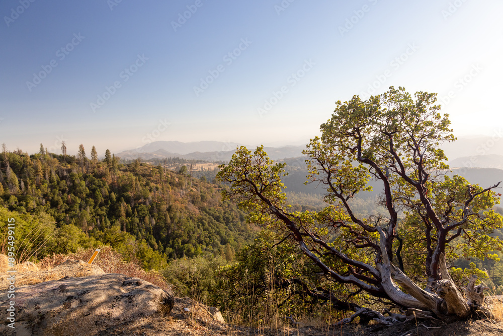 Mountain landscape in Yosemite National Park Mountain landscape in Yosemite National Park