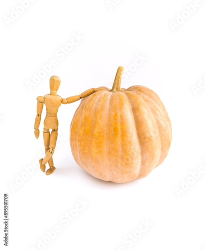 A wooden mannequin staying near the pumpkin, Harvest concept, Isolated, White background