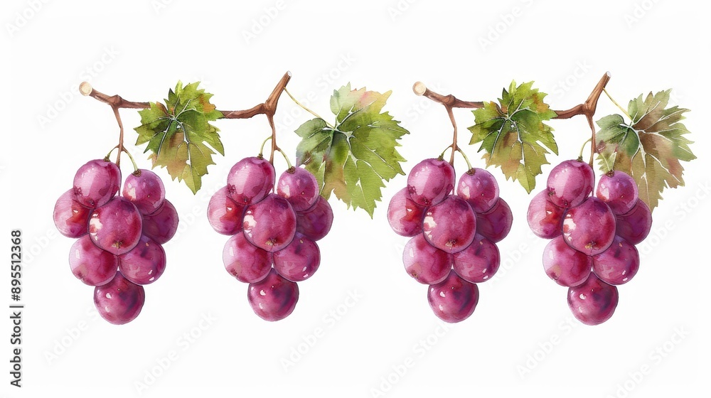 Fototapeta premium A vibrant set of watercolor grapes, showcasing lush clusters in a delicate, handdrawn style against a crisp white backdrop.
