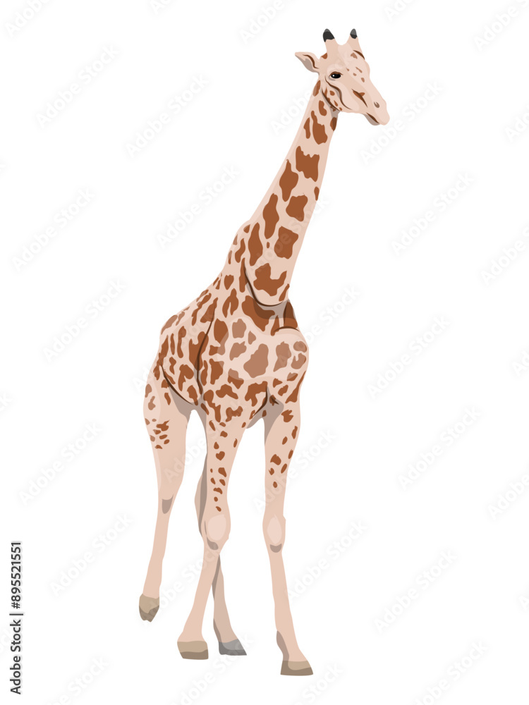 Naklejka premium African giraffe. Realistic wild vector animal