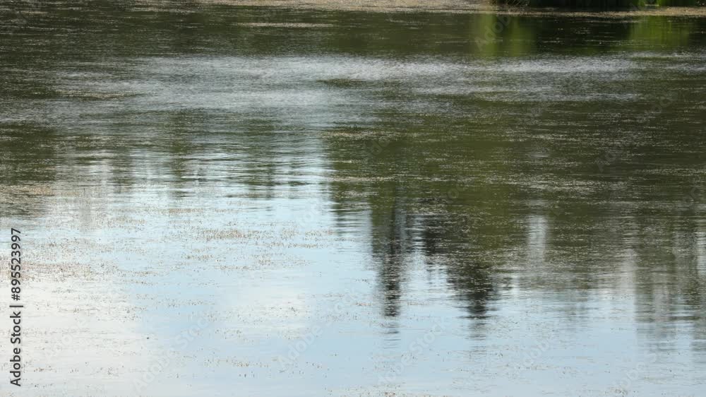 Nature background: Breeze creates pattern on surface of shallow pond Nature background: Breeze creates pattern on surface of shallow pond