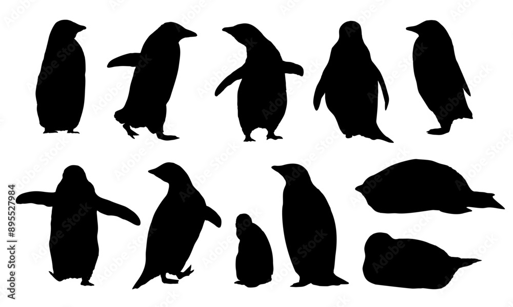 Naklejka premium Adelie penguin silhouette set. Males, females and chicks of Adélie penguins. Birds of the South Field. realistic animals