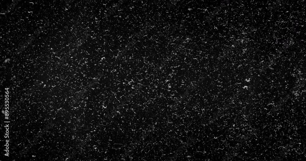 Various sizes of feathers and dust slowly falling down on a black background. Various sizes of feathers and dust slowly falling down on a black background.