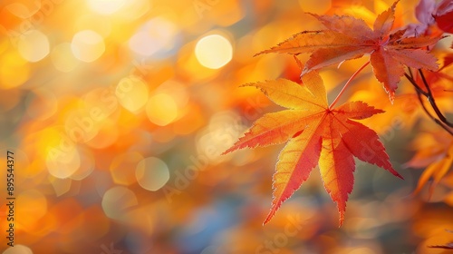 Autumn background with maple leaves and bokeh,Fall blurred background, Yellow and red maple leaves are flying and falling down. Autumnal landscape.water drop on leaf,space for text.