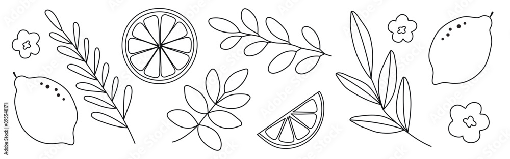 Hand drawn doodle citrus set with lemons, flowers and leaves isolated on white background Hand drawn doodle citrus set with lemons, flowers and leaves isolated on white background