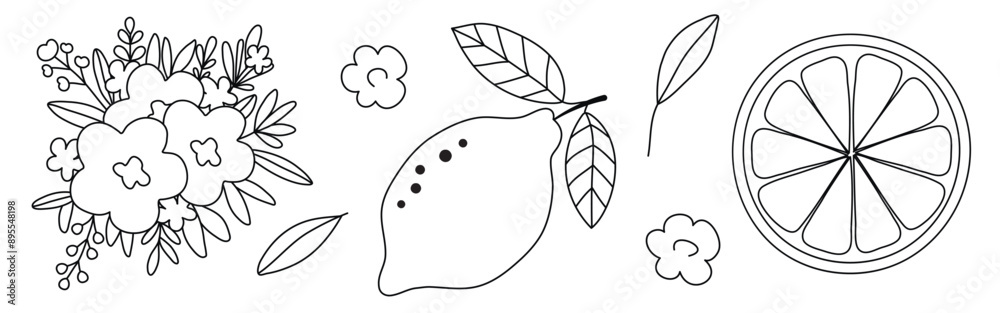 Hand drawn doodle citrus set with lemons, flowers and leaves isolated on white background Hand drawn doodle citrus set with lemons, flowers and leaves isolated on white background