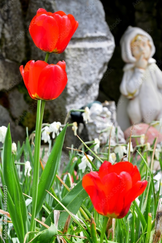 A view of colorful blooming flowers in the garden near the house