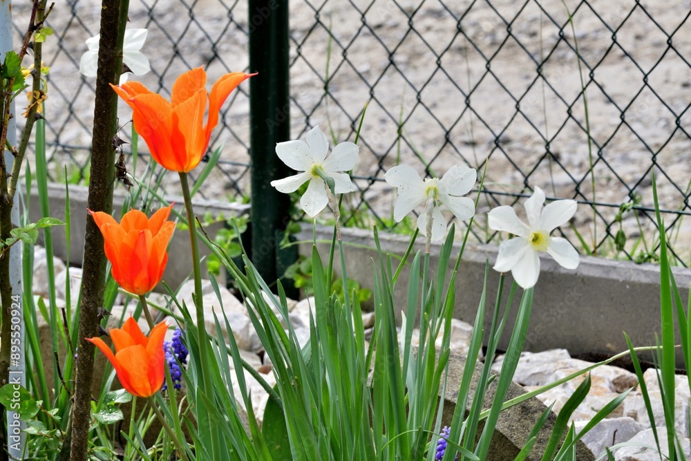 A blossoming orchard full of colorful flowers is a delight for the eye and soul of a person