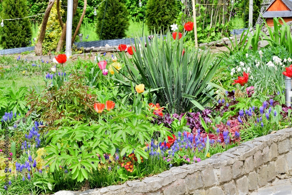 Blooming colorful flowers in the garden near the house in the village