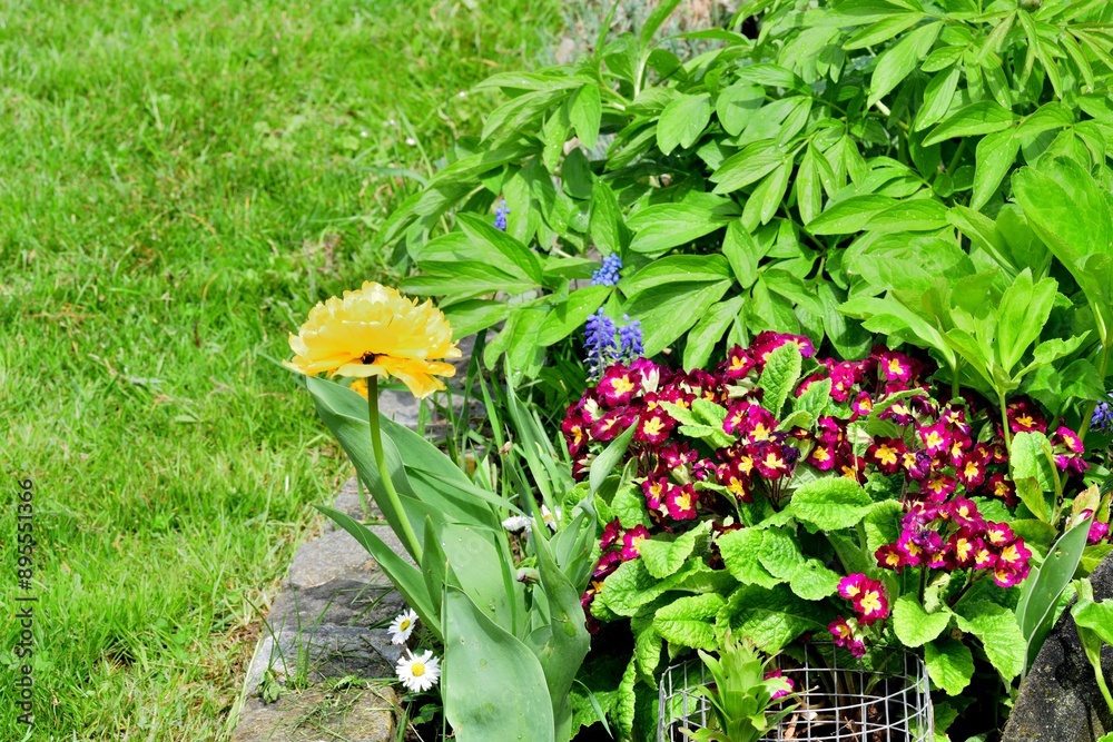 A view of colorful blooming flowers in the garden near the house