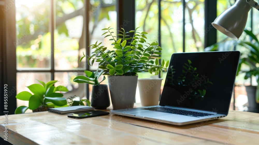 Laptop and Plants on a Desk Laptop and Plants on a Desk